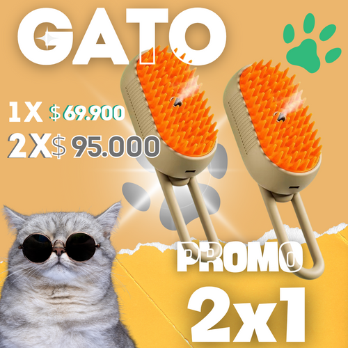 CEPILLO VAPORIZADOR X2